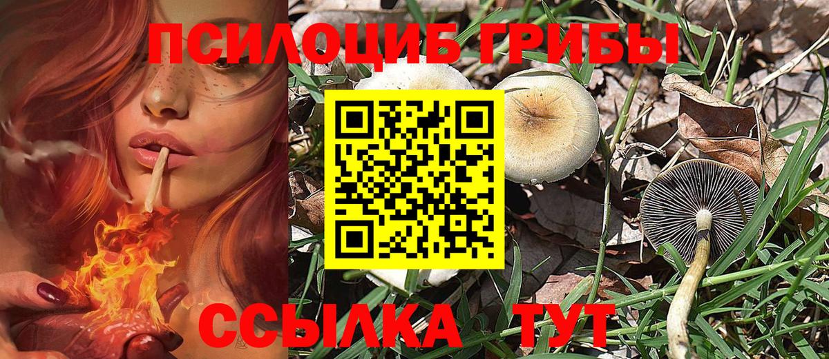 Галлюциногенные грибы прущие грибы  Галлюциногенные грибы Psilocybine cubensis  Вход с VPN  Пугачёв 